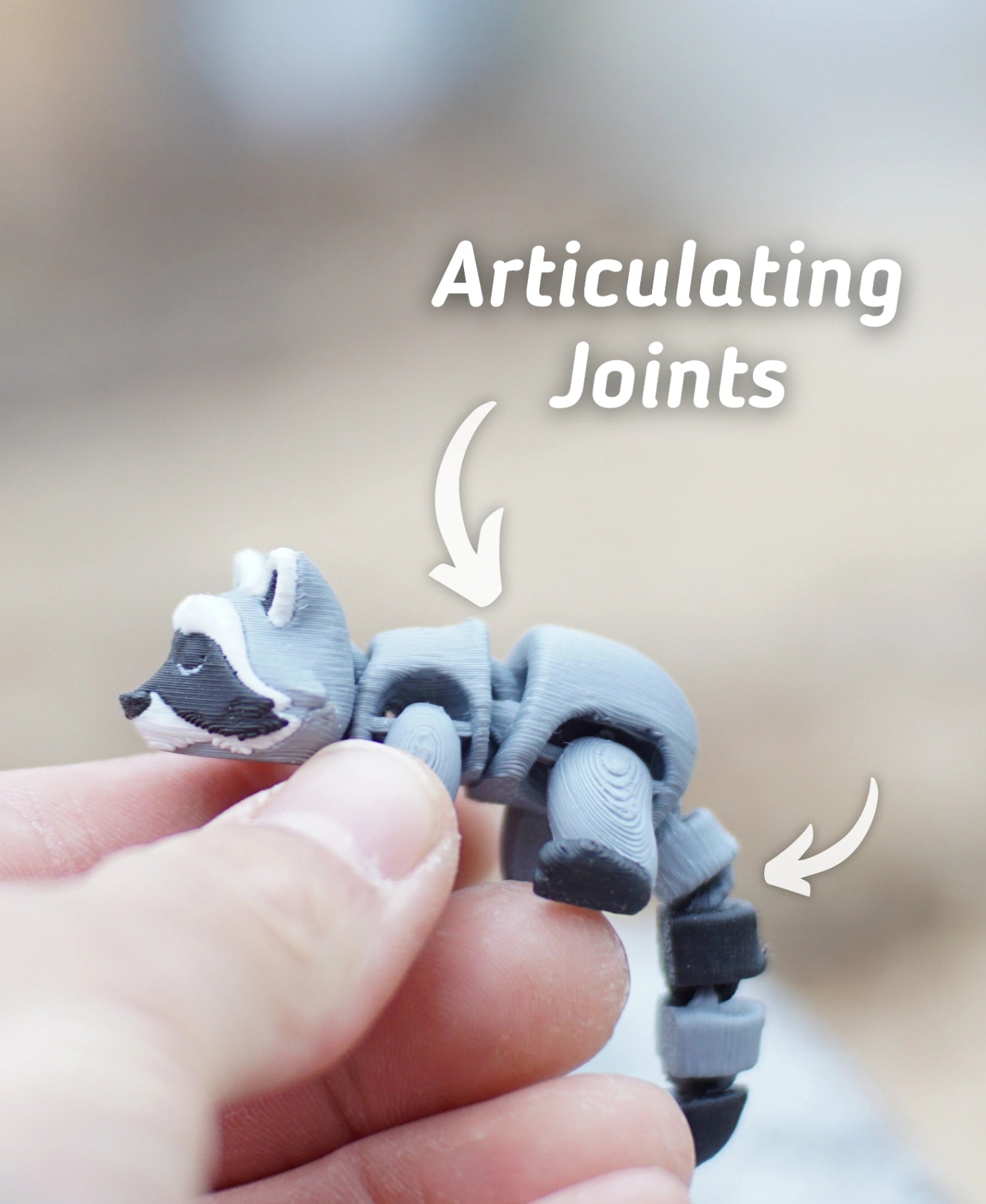 Riggly Raccoon - Fidget Toy/Keychain