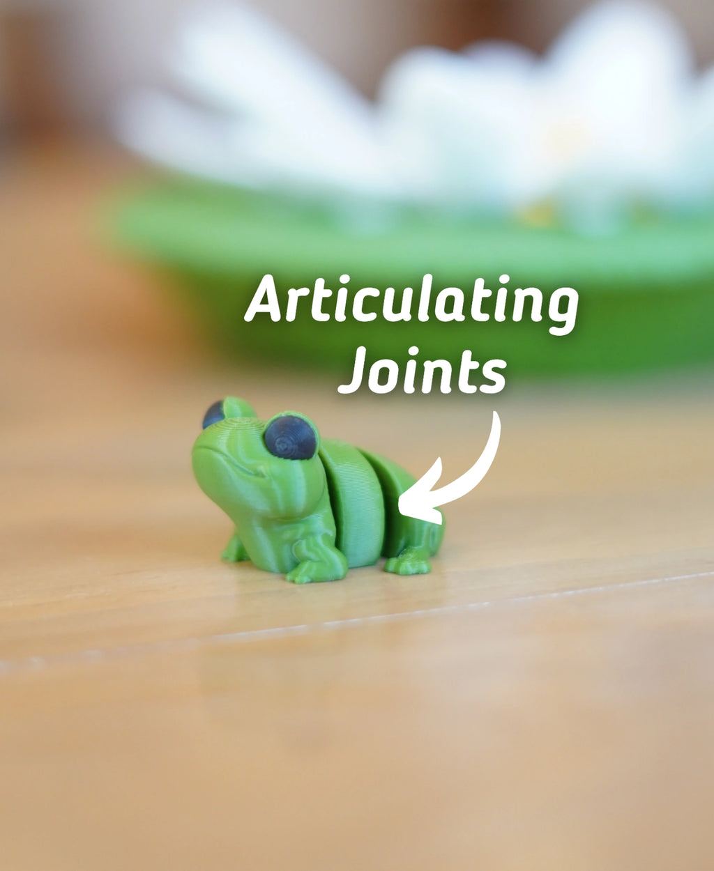 Fidget Frog - Fidget Toy