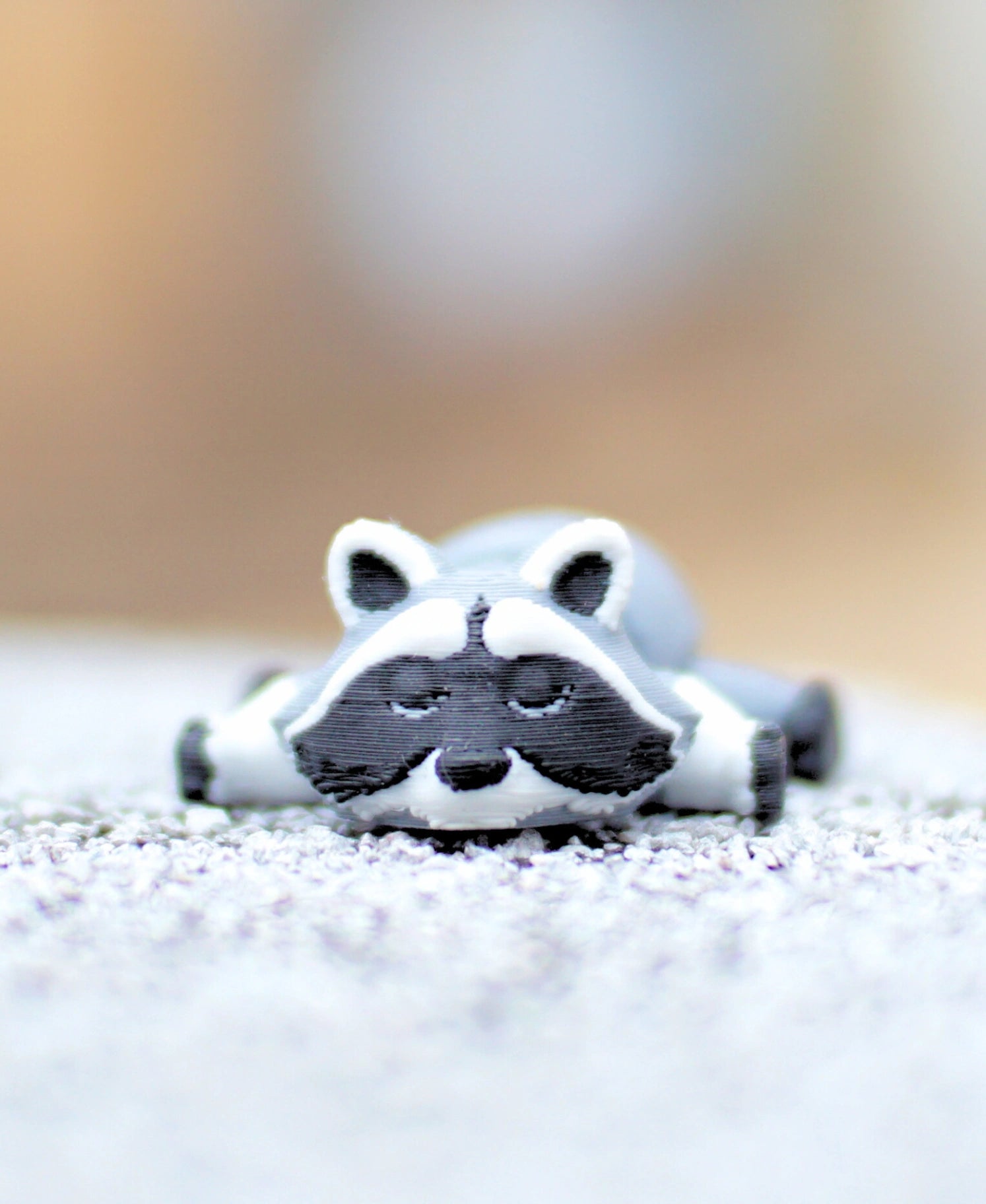 Riggly Raccoon - Fidget Toy/Keychain