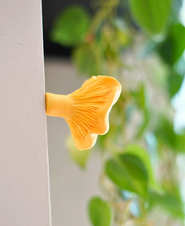 Mushroom Pack 2 - Magnets