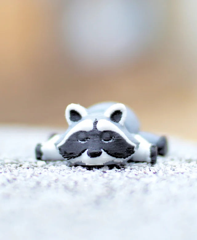 Riggly Raccoon - Fidget Toy/Keychain