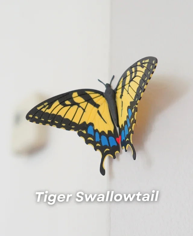Butterfly - Magnets