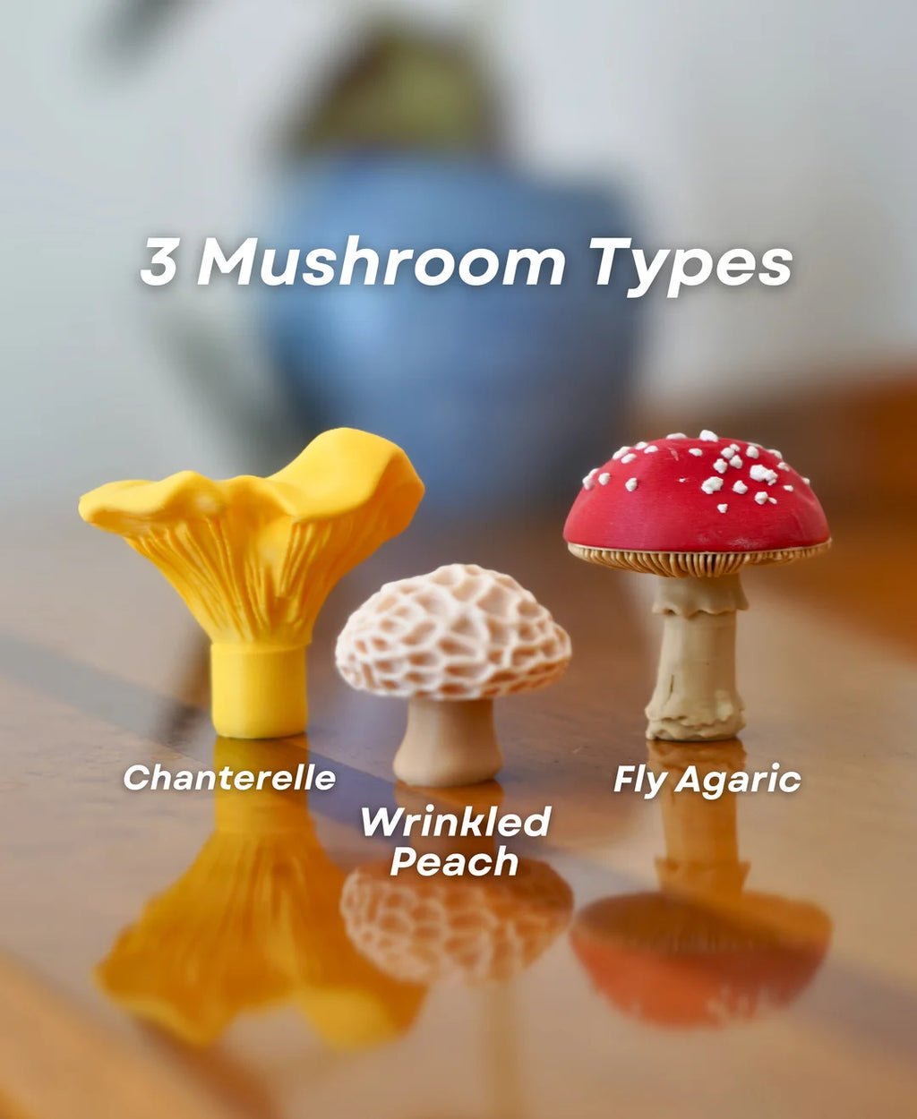 Mushroom Pack 2 - Magnets