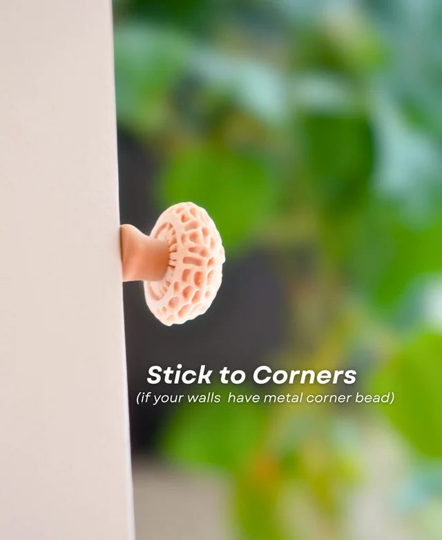 Mushroom Pack 2 - Magnets