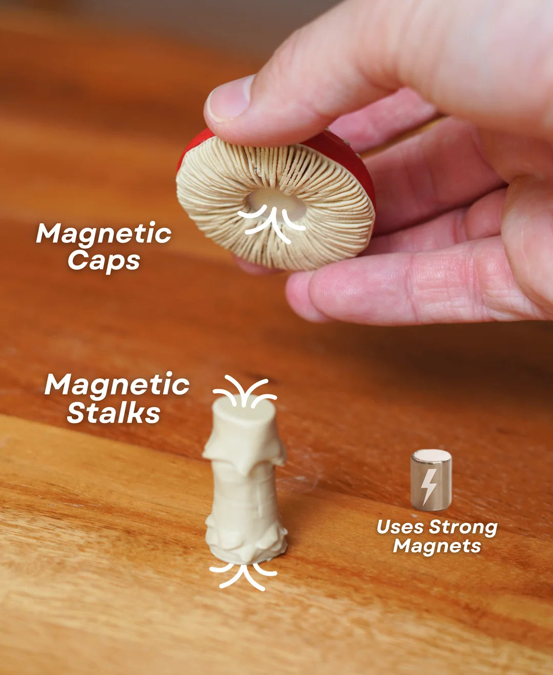 Mushroom Pack 2 - Magnets