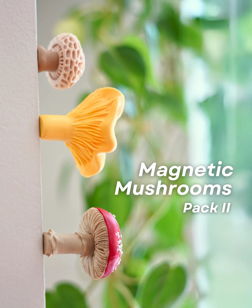 Mushroom Pack 2 - Magnets