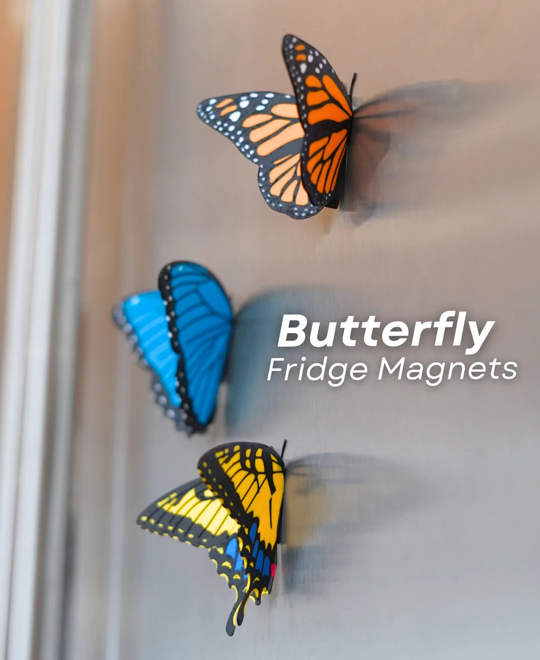 Butterfly - Magnets