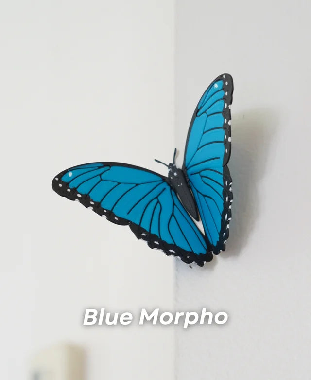 Butterfly - Magnets