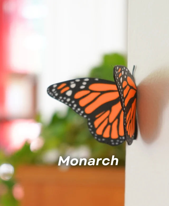 Butterfly - Magnets